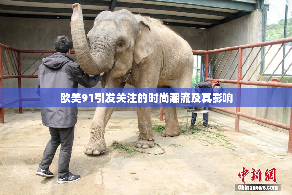 欧美91引发关注的时尚潮流及其影响