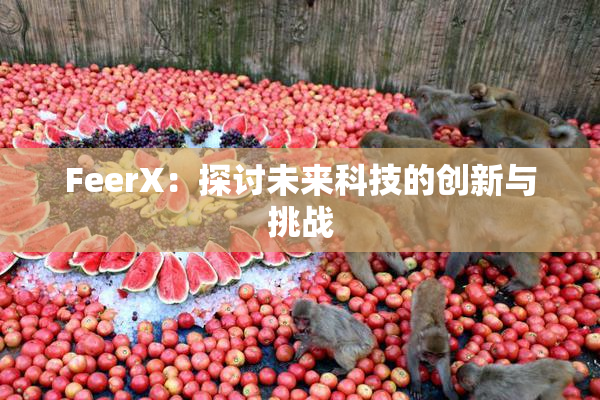 FeerX：探讨未来科技的创新与挑战