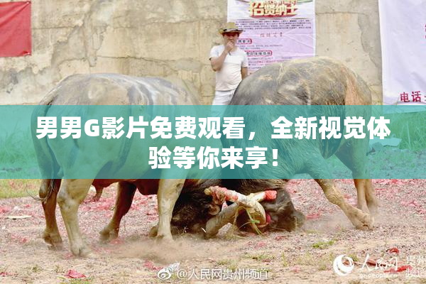 男男G影片免费观看，全新视觉体验等你来享！