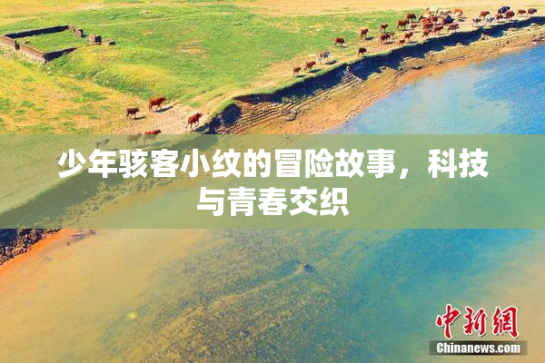 少年骇客小纹的冒险故事，科技与青春交织