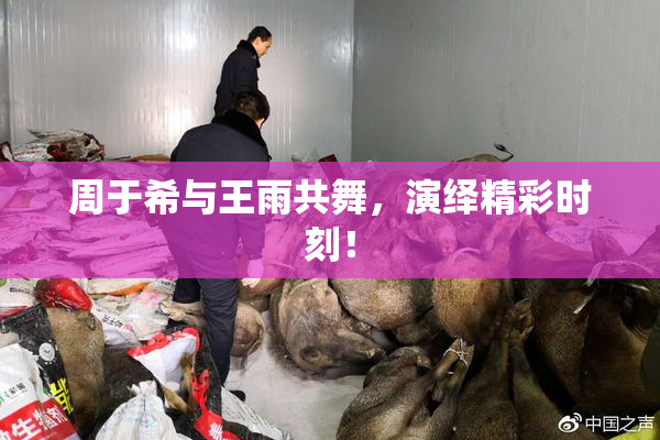 周于希与王雨共舞，演绎精彩时刻！