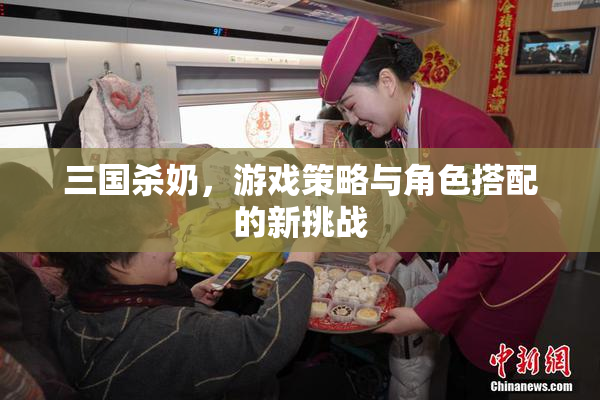 三国杀奶，游戏策略与角色搭配的新挑战