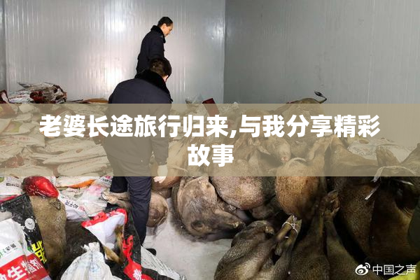 老婆长途旅行归来,与我分享精彩故事