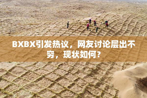 BXBX引发热议，网友讨论层出不穷，现状如何？