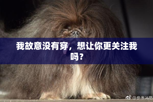 我故意没有穿，想让你更关注我吗？