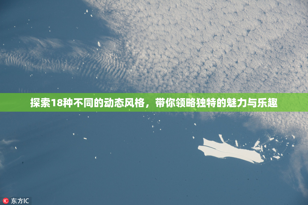 探索18种不同的动态风格，带你领略独特的魅力与乐趣
