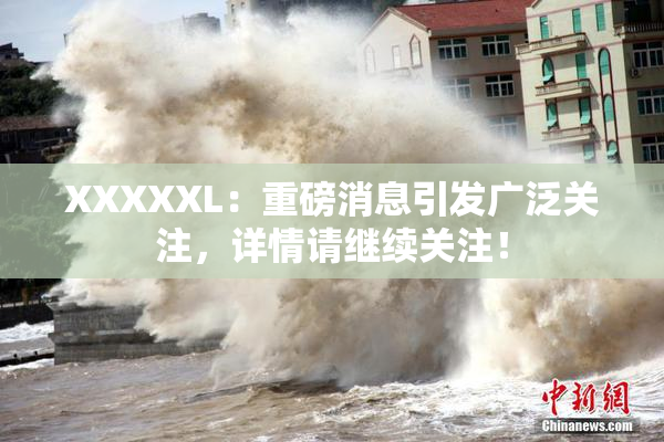XXXXXL：重磅消息引发广泛关注，详情请继续关注！