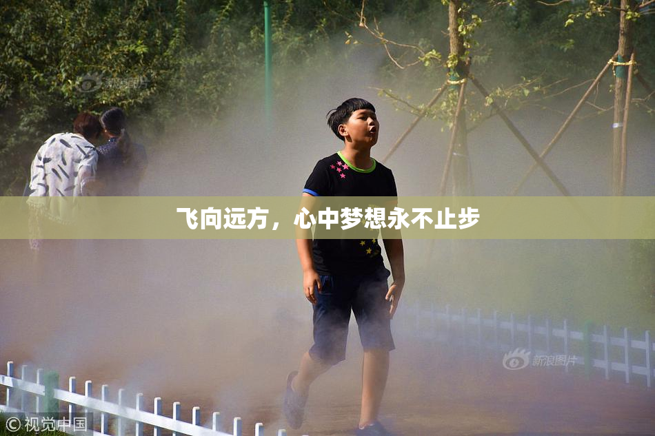 飞向远方，心中梦想永不止步