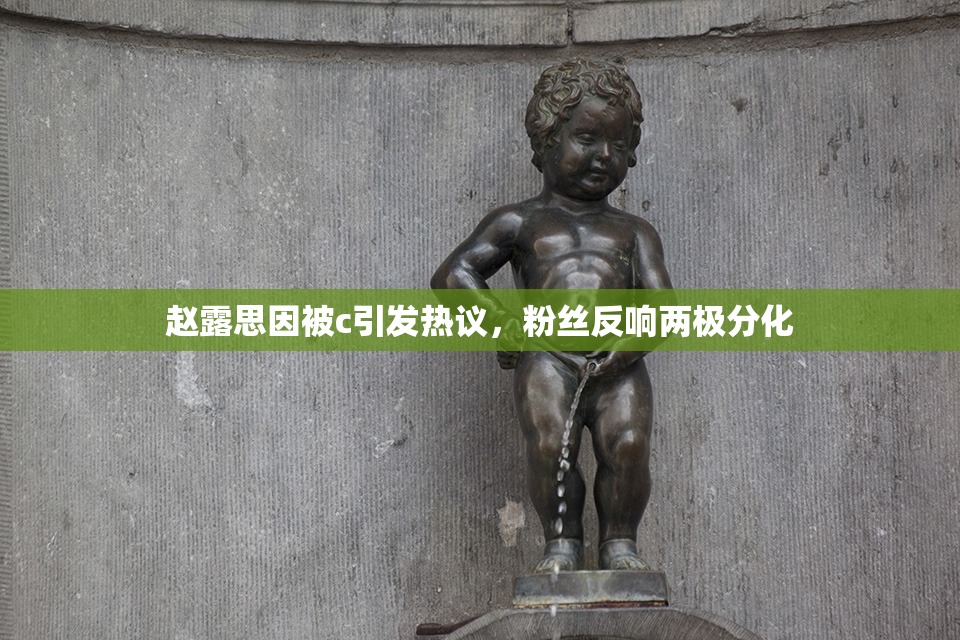 赵露思因被c引发热议，粉丝反响两极分化