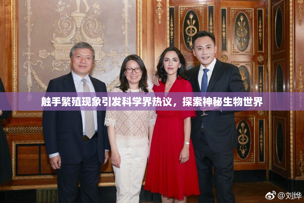触手繁殖现象引发科学界热议，探索神秘生物世界