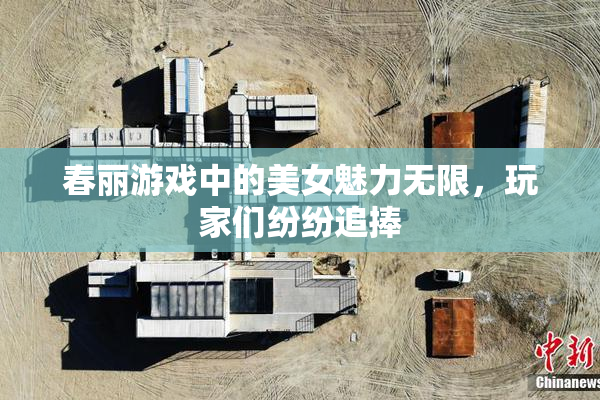 春丽游戏中的美女魅力无限，玩家们纷纷追捧