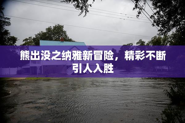 熊出没之纳雅新冒险，精彩不断引人入胜