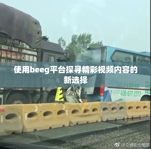 使用beeg平台探寻精彩视频内容的新选择