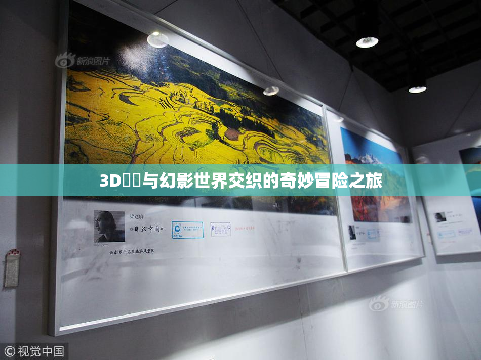 3D姉弚与幻影世界交织的奇妙冒险之旅