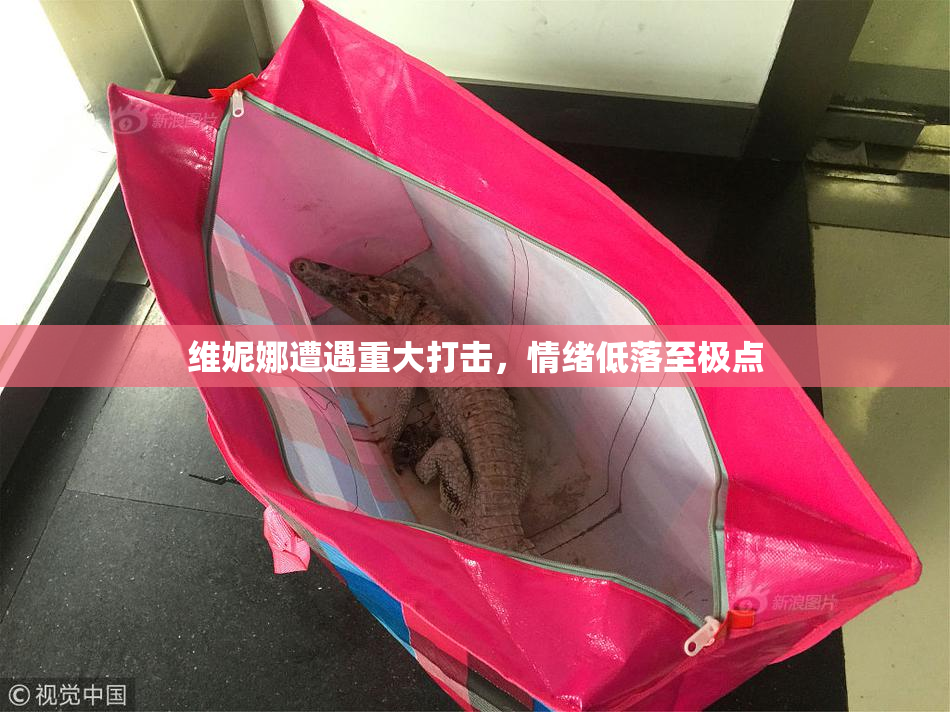 维妮娜遭遇重大打击，情绪低落至极点