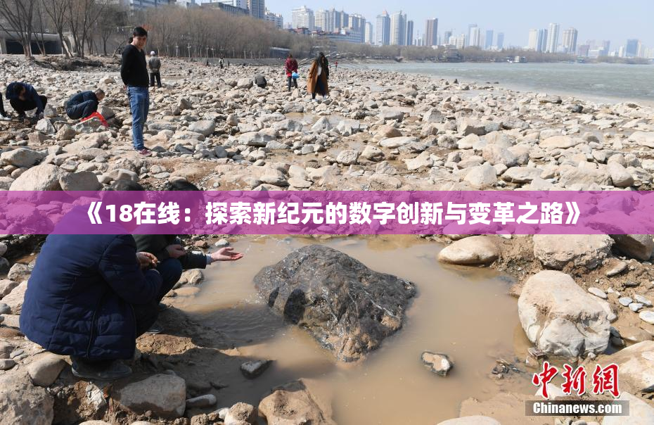 《18在线：探索新纪元的数字创新与变革之路》