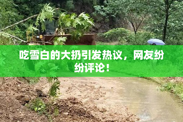 吃雪白的大扔引发热议，网友纷纷评论！
