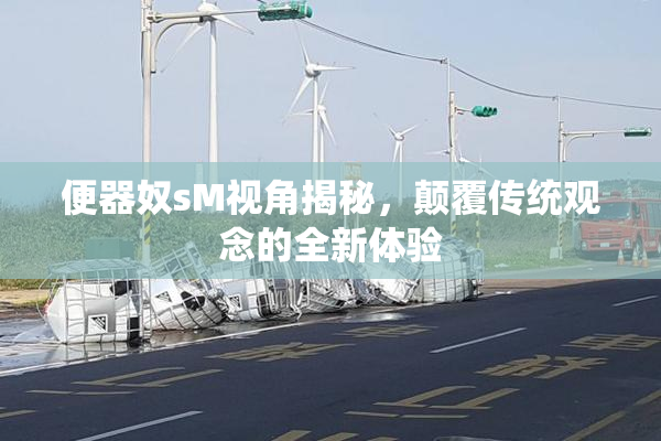 便器奴sM视角揭秘，颠覆传统观念的全新体验