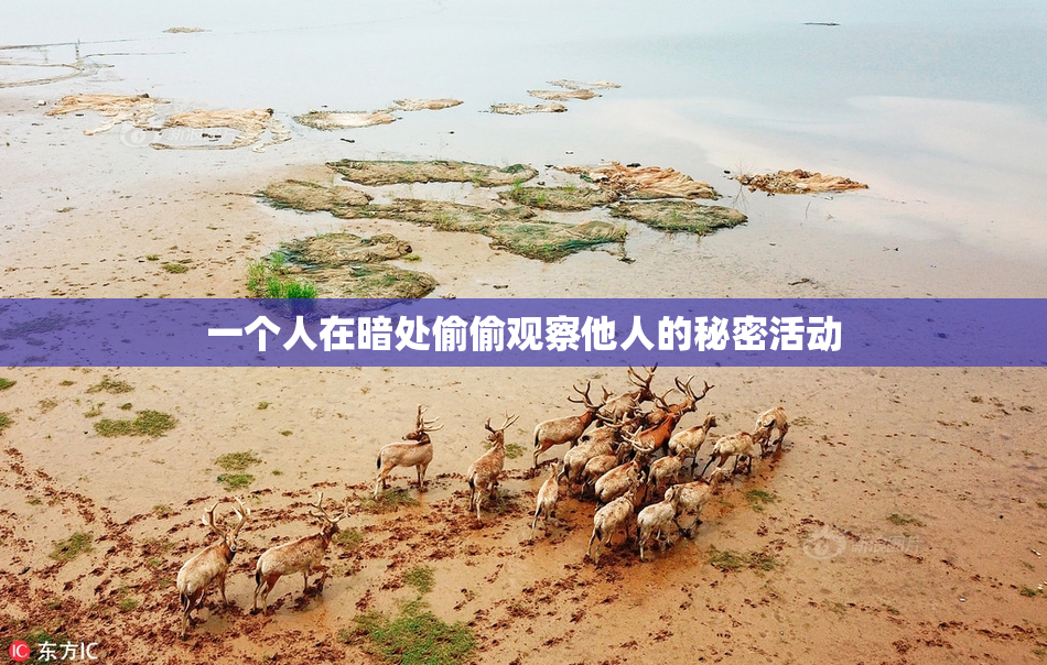 一个人在暗处偷偷观察他人的秘密活动