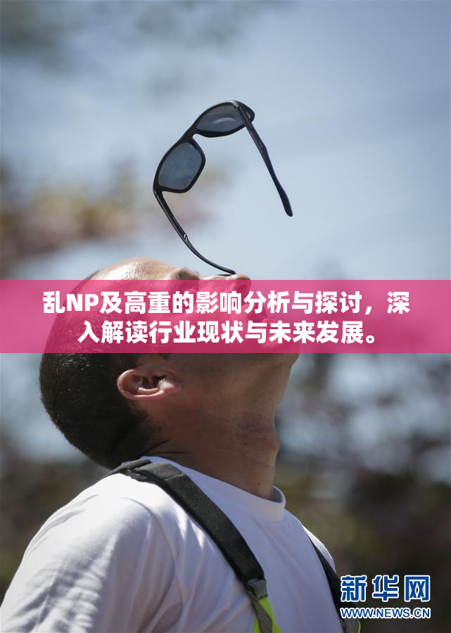 乱NP及高重的影响分析与探讨，深入解读行业现状与未来发展。