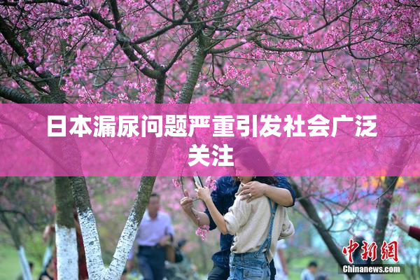 日本漏尿问题严重引发社会广泛关注