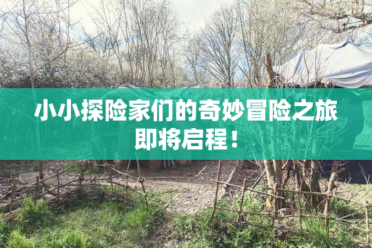 小小探险家们的奇妙冒险之旅即将启程！