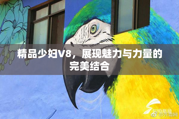 精品少妇V8，展现魅力与力量的完美结合