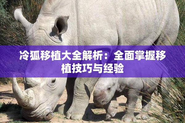冷狐移植大全解析：全面掌握移植技巧与经验