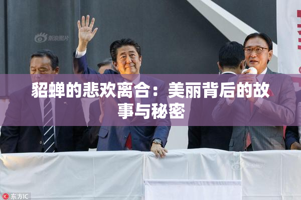 貂蝉的悲欢离合：美丽背后的故事与秘密