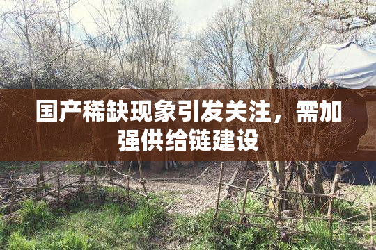 国产稀缺现象引发关注，需加强供给链建设