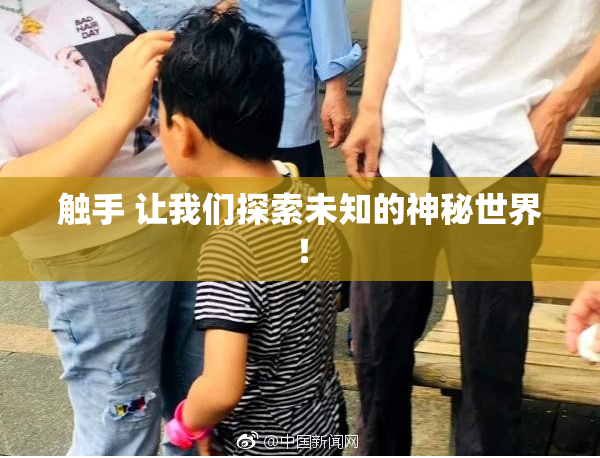 触手 让我们探索未知的神秘世界！
