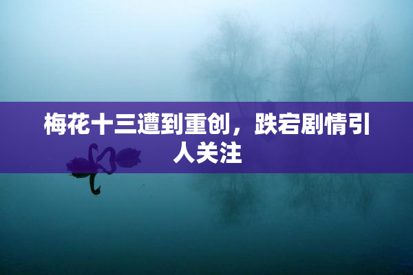 梅花十三遭到重创，跌宕剧情引人关注