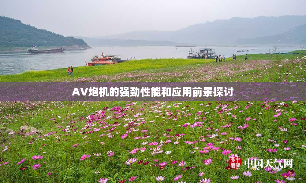 AV炮机的强劲性能和应用前景探讨