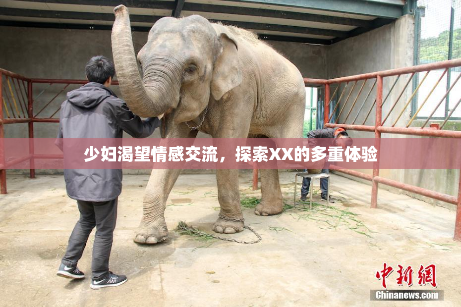 少妇渴望情感交流，探索XX的多重体验
