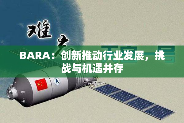 BARA：创新推动行业发展，挑战与机遇并存