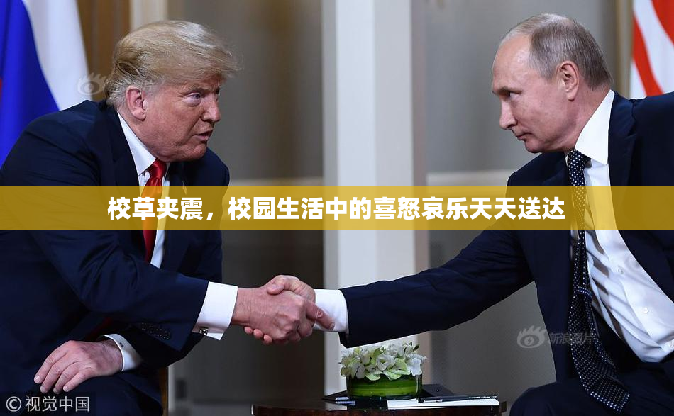 校草夹震，校园生活中的喜怒哀乐天天送达