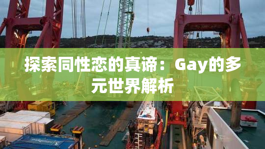 探索同性恋的真谛：Gay的多元世界解析