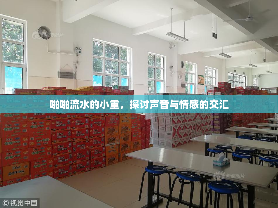 啪啪流水的小重，探讨声音与情感的交汇