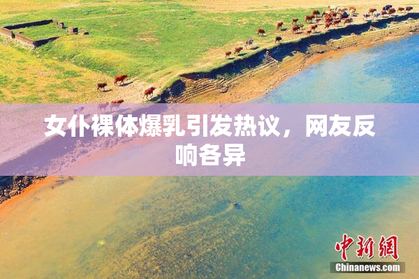 女仆裸体爆乳引发热议，网友反响各异