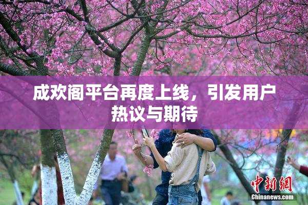 成欢阁平台再度上线，引发用户热议与期待