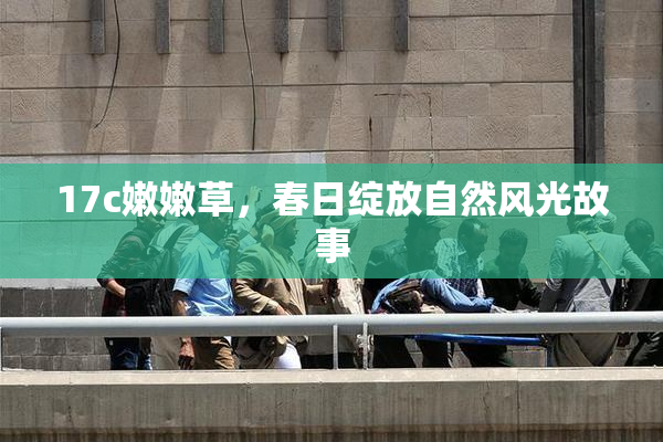 17c嫩嫩草，春日绽放自然风光故事