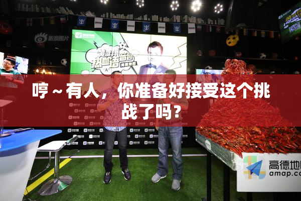 哼～有人，你准备好接受这个挑战了吗？