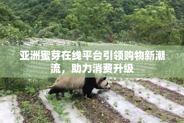亚洲蜜芽在线平台引领购物新潮流，助力消费升级