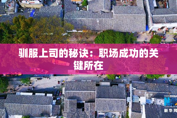 驯服上司的秘诀：职场成功的关键所在