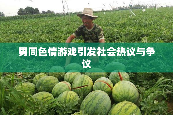 男同色情游戏引发社会热议与争议
