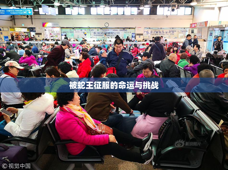 被蛇王征服的命运与挑战