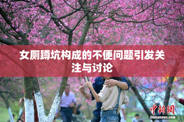 女厕蹲坑构成的不便问题引发关注与讨论