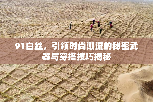 91白丝，引领时尚潮流的秘密武器与穿搭技巧揭秘