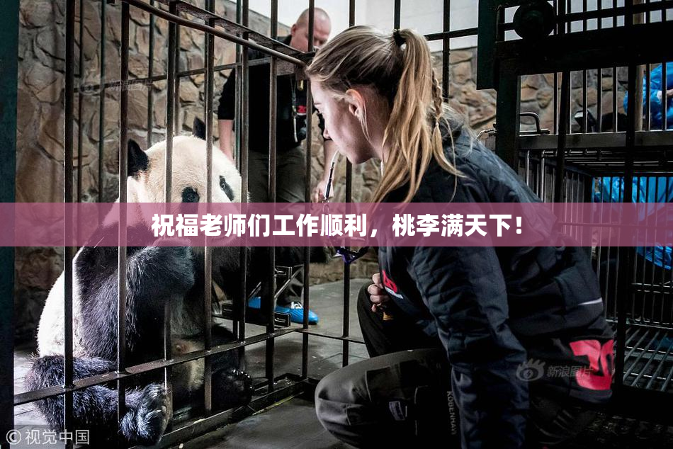 祝福老师们工作顺利，桃李满天下！