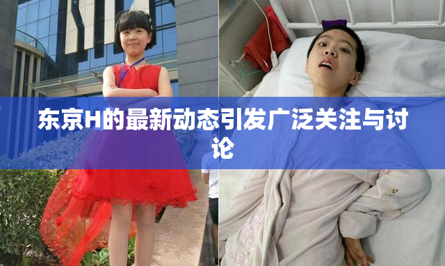东京H的最新动态引发广泛关注与讨论
